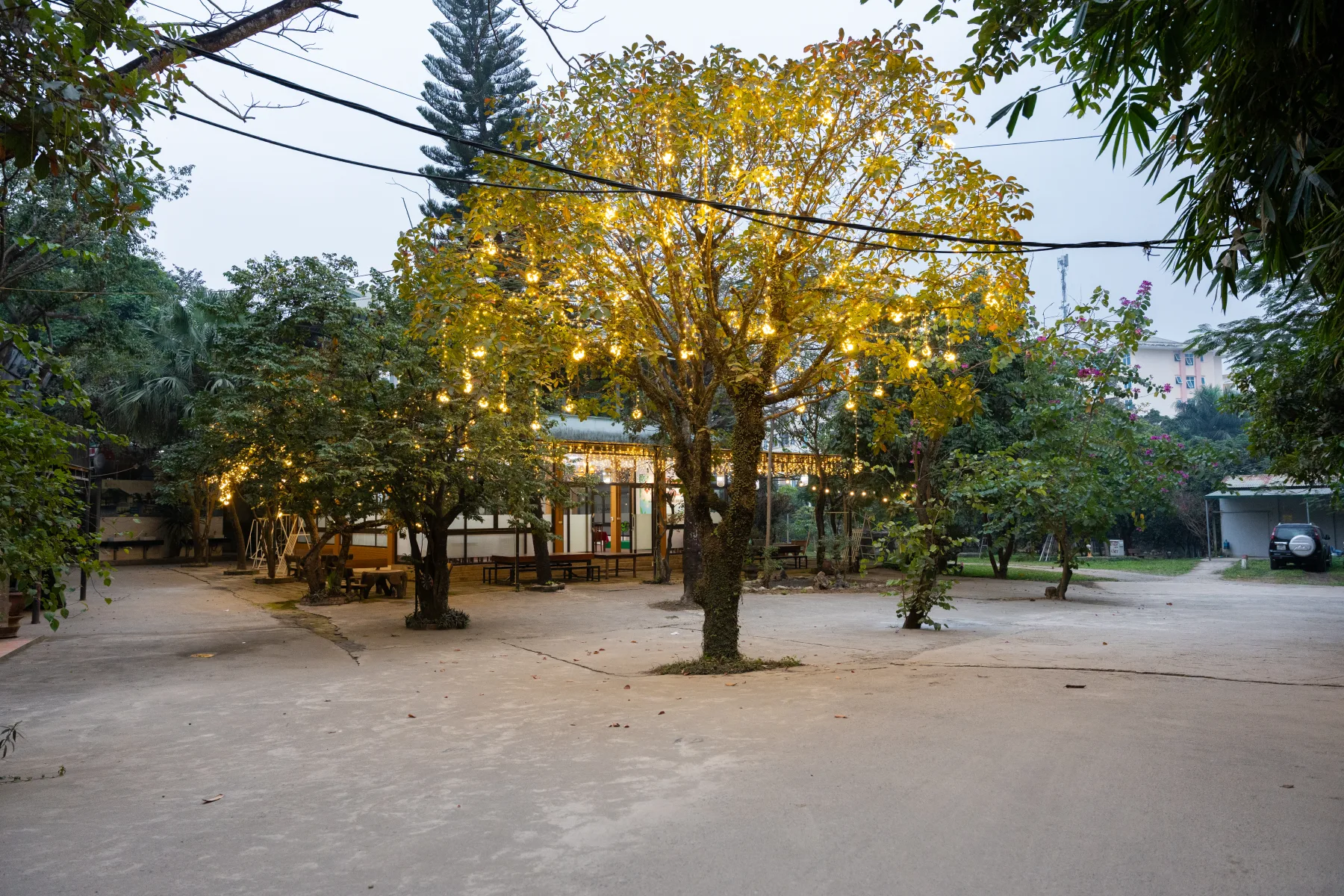 Khuôn viên xanh bên ngoài nhà hàng Sơn Trang C5